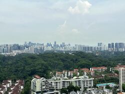D'Leedon (D10), Condominium #519514111